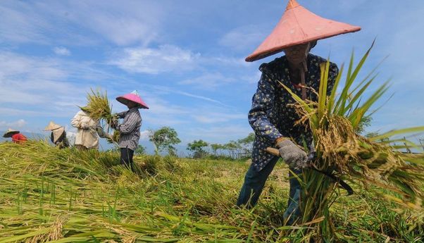 Mengejutkan! Pemajakan Sektor Pertanian Dinilai Tak Cerminkan Keadilan, Pemerintah Akan Tinjau Ulang