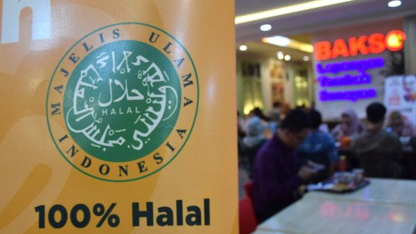 Hoax or Fakta: Wajan dan Kulkas Punya Sertifikat Halal, Begini Penjelasan MUI