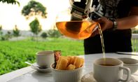 Wisata di Kebun Teh Kemuning yang Wajib Dikunjungi