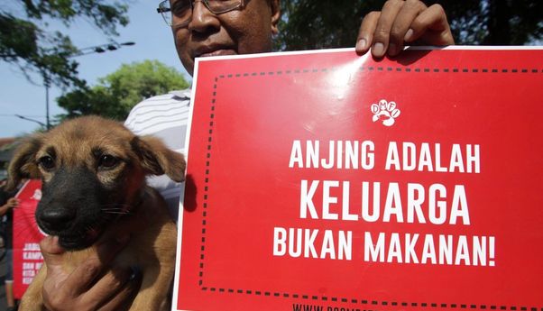 Mengejutkan! Dalam Sebulan 300 Anjing Diolah jadi 'Sengsu' di Cilacap