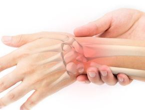 Struktur Anatomi dan Fungsi Tulang Telapak Tangan