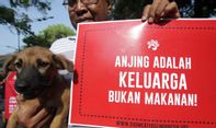 Mengejutkan! Dalam Sebulan 300 Anjing Diolah jadi 'Sengsu' di Cilacap